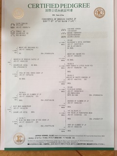 01b4eb06c87faf98e60cff47cd59c3b8dac4cd0f7a.jpg