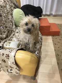 IMG_2974.jpg